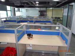 帝豪大厦4房2厅精装办公室出租 厦禾路文灶站BRT沿线，带全套办公设备