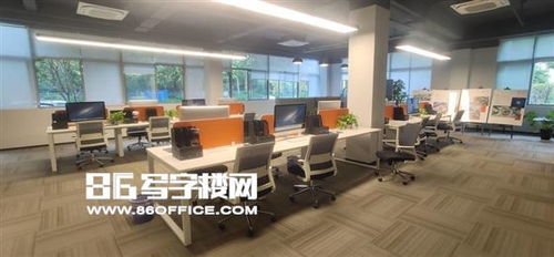 抢占自贸先机 上海森兰美奂写字楼，赋能跨境电商与医疗器械新未来